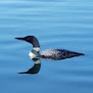 Meet your Posher, Jaime